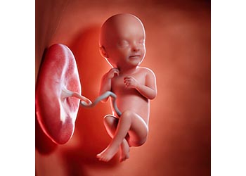 Echographie 3D qui montre un bébé en pleine forme.