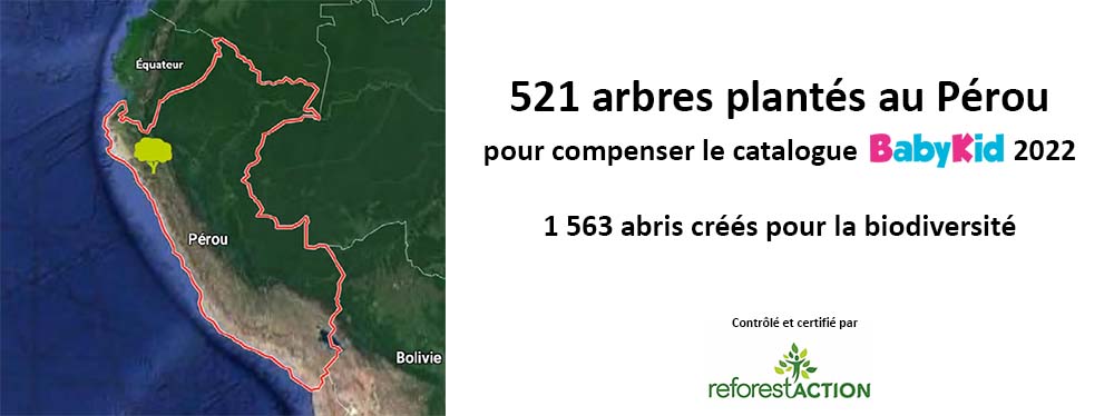 521 arbres plantés à Piura au Pérou dans la cadre du catalogue BabyKid 2022